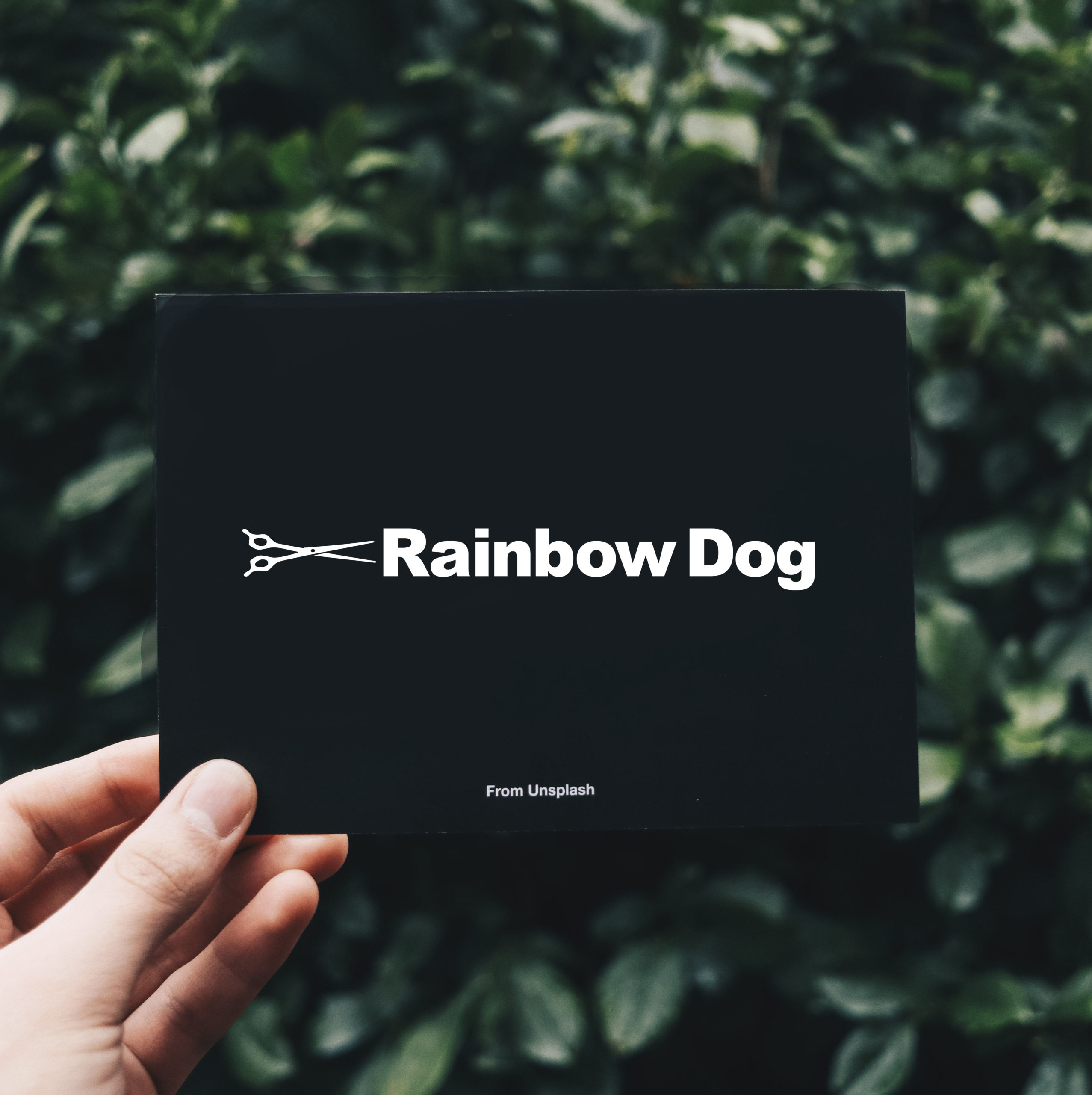 RainbowDog_logo