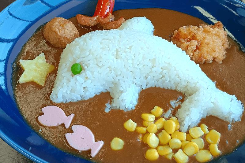 イルカ型ライスがかわいいおたる水族館のカレー